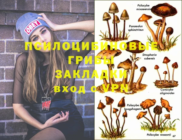 молекула духа Нефтегорск