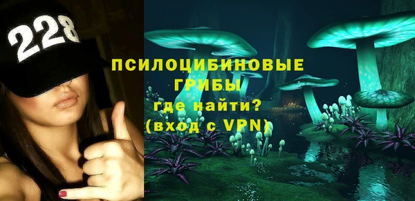 молекула духа Нефтегорск