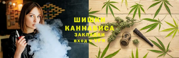молекула духа Нефтегорск