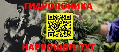 2c-b Гай