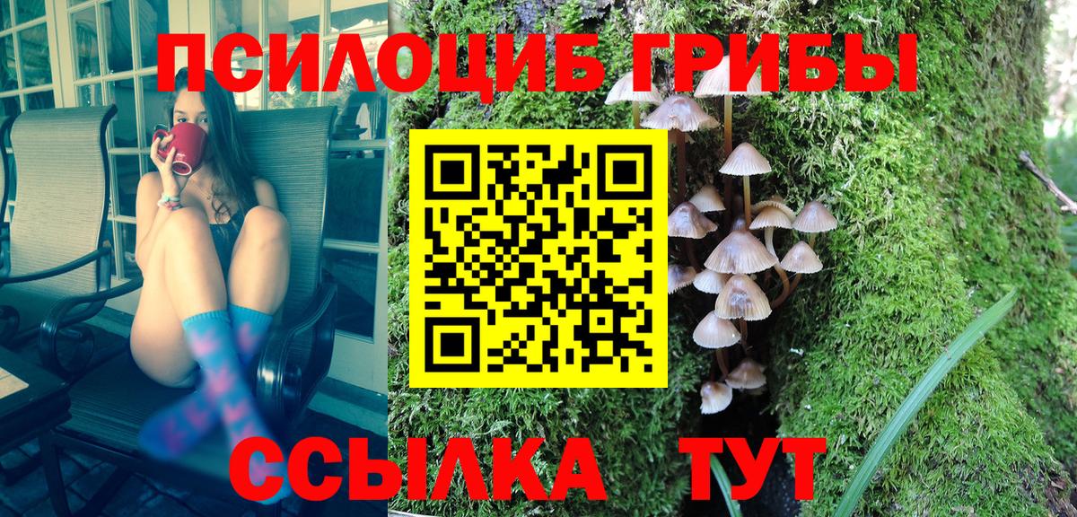 Псилоцибиновые грибы мицелий  где можно купить   Тольятти  Вход с VPN  Псилоцибиновые грибы Cubensis 