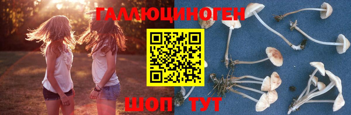 Псилоцибиновые грибы мицелий Тольятти