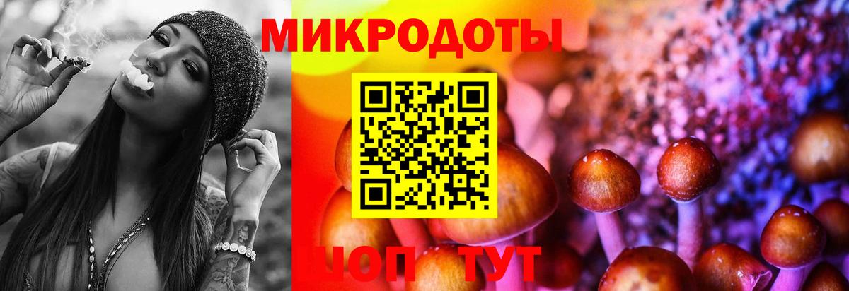 Тольятти  Галлюциногенные грибы мицелий  Вход с VPN 