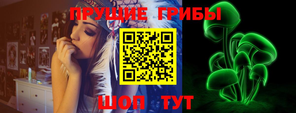 Псилоцибиновые грибы Psilocybine cubensis Тольятти