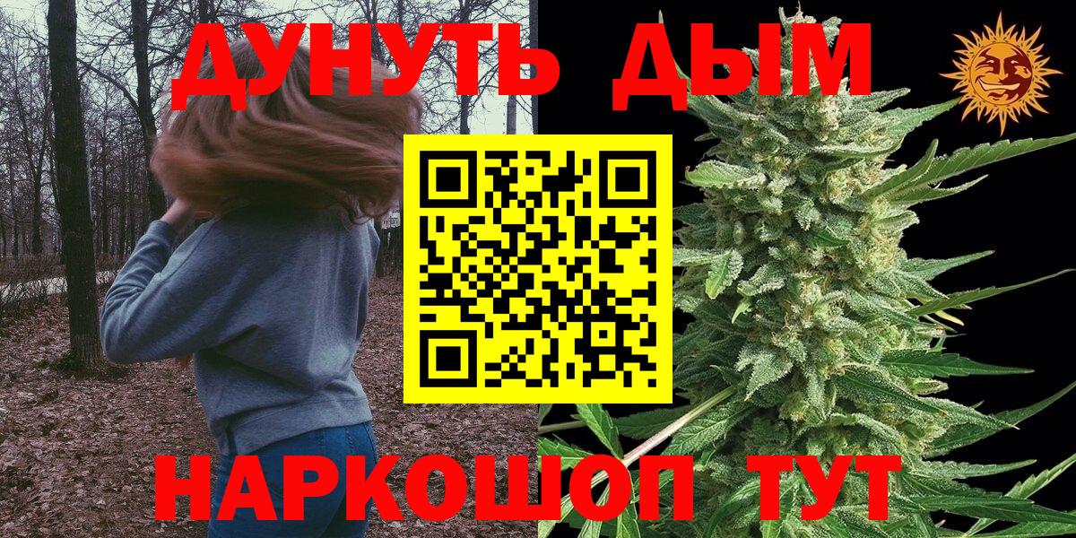 Бошки марихуана Bruce Banner  Канабис марихуана  Канабис сатива  Тольятти  Вход с VPN 